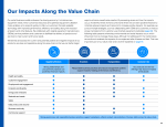 Our Impacts Along the Value Chain