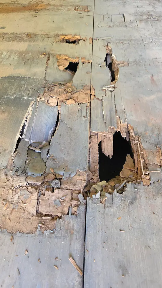 damage