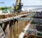 Sheet Piles