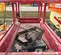 2019 MEC MICRO 19 Scissor Lift