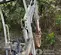 2021 Takeuchi TB216 Mini Excavator