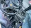 2019 JCB 510-56 Forklift