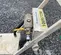 2017 EDCO CD-5