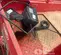 2019 MEC MICRO 19 Scissor Lift