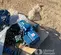 2012 JD NEUHAUS PROFI 3T 6T Hoist