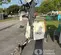2021 Generac MLT6SMDS Portable Light Tower
