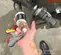 2023 Husqvarna PG540