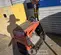 2020 Multiquip MVH308GH Vibratory Plate Compactor
