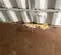 inside damage 1