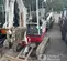 2021 Takeuchi TB216 Mini Excavator