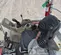 2021 Takeuchi TB225R Mini Excavator