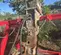 2019 Epiroc EC 100T Attachment