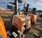 2020 Generac MLT6SKDS Portable Light Tower