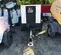 2022 Wacker Neuson G 25 Diesel Generator