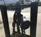 2013 JD NEUHAUS PROFI 16/20TI Hoist