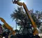 2017 JCB 507-42 Forklift