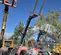 2019 Skyjack SJ643TH Forklift