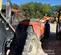 2018 JLG 1255 Forklift