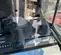 2021 Takeuchi TB290C Mini Excavator