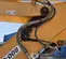 2020 Case CX350D Excavator
