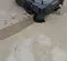 2021 Clarke PROTERRA 5130B Sweeper