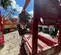 2019 MEC MICRO 19 Scissor Lift