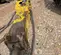 2022 Epiroc HB2500 Attachment