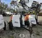 2019 Magnum Pro MLT6SM Portable Light Tower