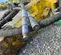 2020 Epiroc SB 452 Attachment