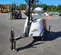 2019 Magnum Pro MLT6SM Portable Light Tower