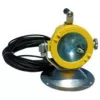 Portable Work Light, 70W, Explosion Proof