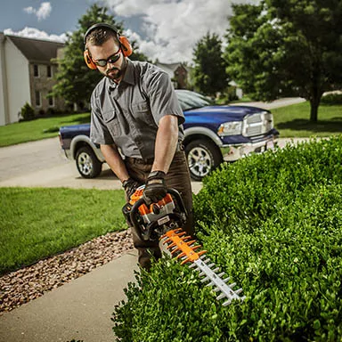 Orange Stihl hedge trimmer with 30 inch blade being used to cut hedges in front of a home