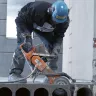 Orange and gray Husqvarna 9 inch concrete Cut-off Saw being used to cut through concrete