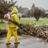 Orange and white Stihl backpack blower worn by a person blowing leaves in the rain