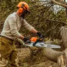 Orange and white Stihl Rollomatic 20 inch chainsaw cutting through a large tree branch